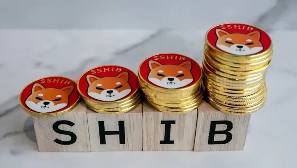 Shiba inu current news