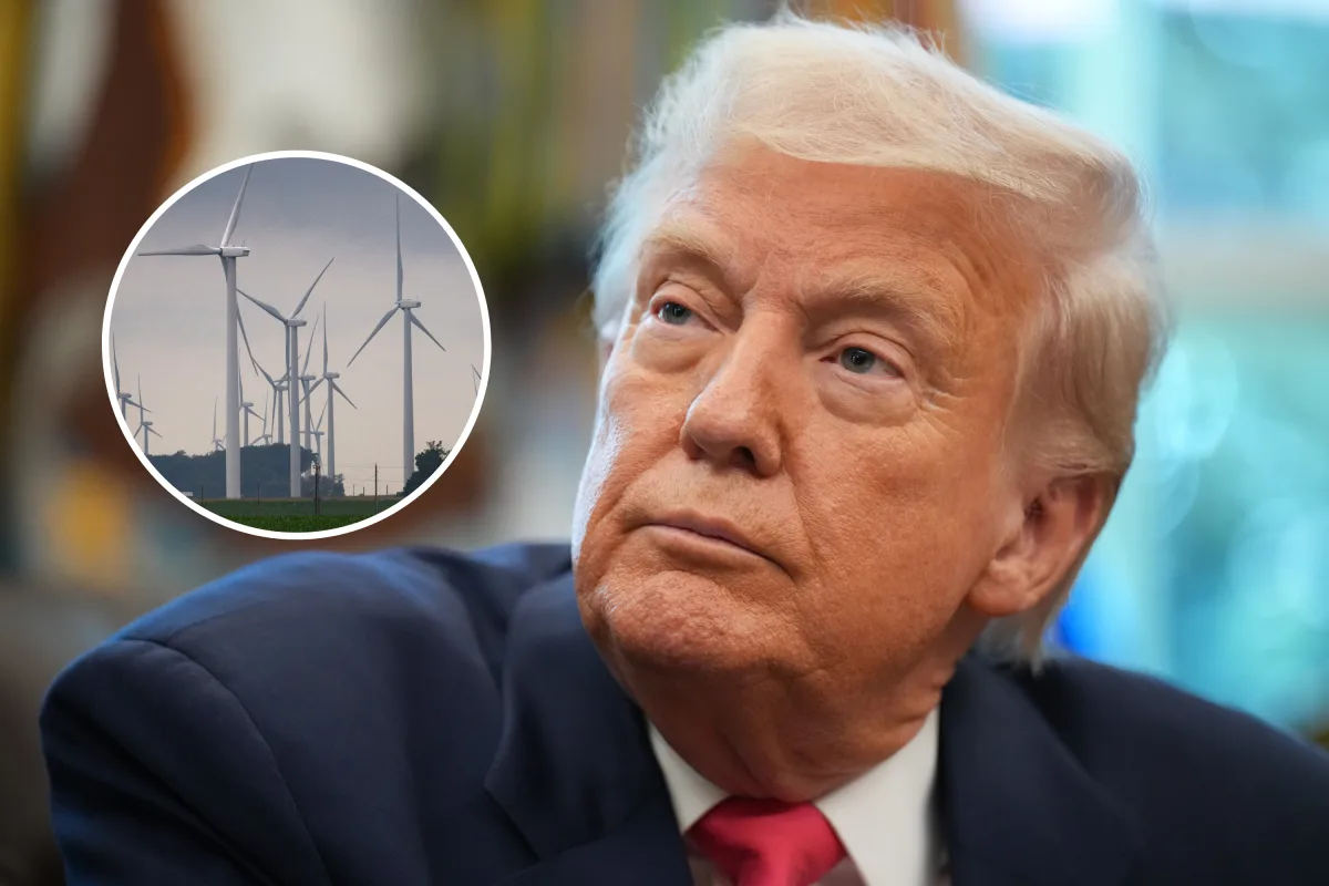 Trump blames renewable energy